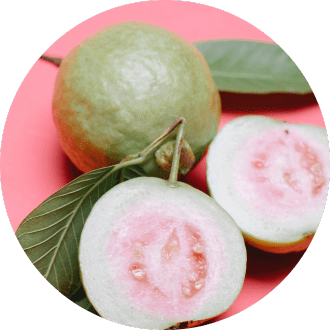 sliced guava fruit with leaf attached on pink background