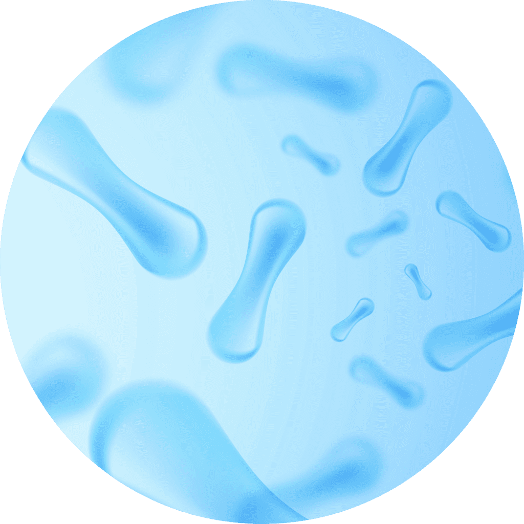blue gut bacteria microorganisms