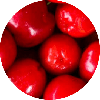red acerola fruit cherries
